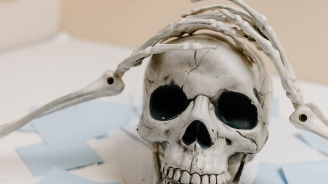 skeleton hands on skull